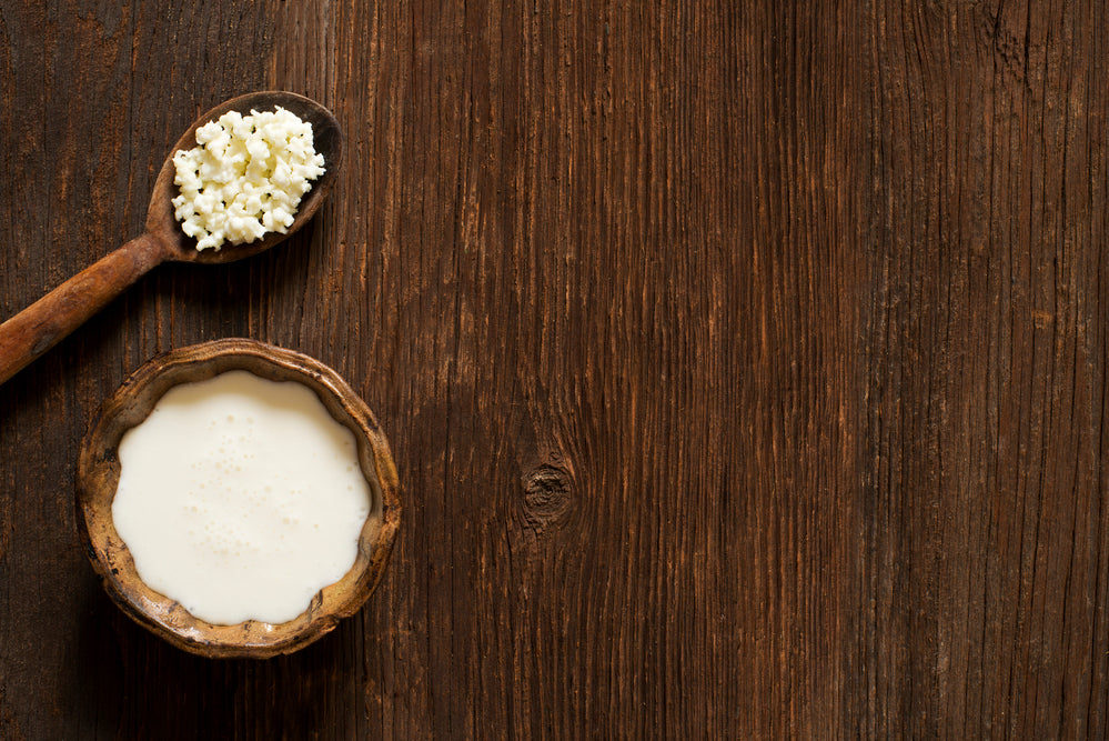 Why you should take probiotics