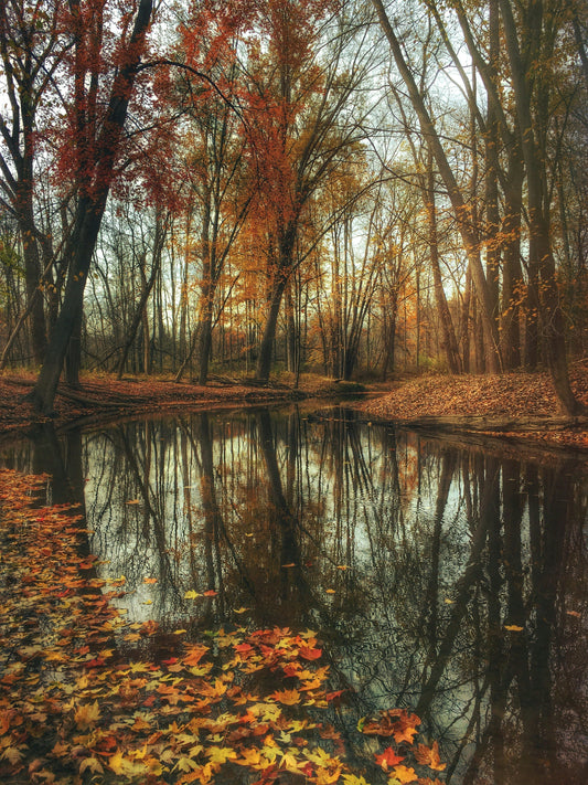Why Fall Makes Us Tired And How to Support Your Body Through It