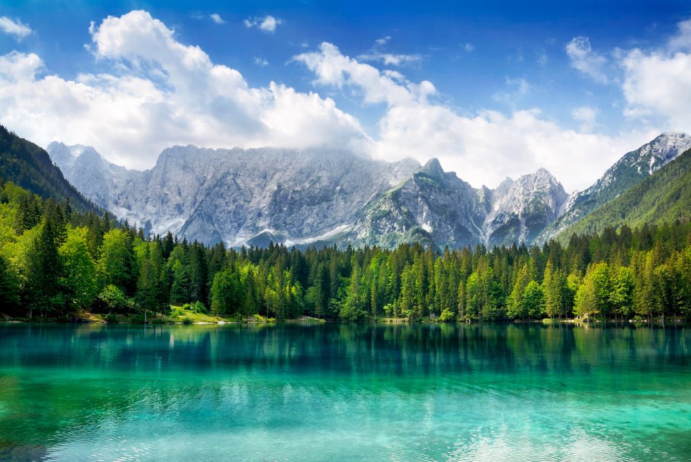 Explore the Health Benefits of Nature - MAYBLISS.LA