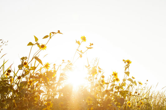 Top Reasons to Take Vitamin D and K if You’re Over 40 - MAYBLISS.LA